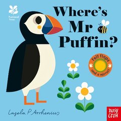 National Trust: Where's Mr Puffin? цена и информация | Книги для малышей | pigu.lt