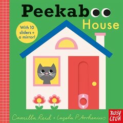 Peekaboo House цена и информация | Книги для малышей | pigu.lt