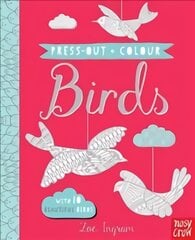 Press Out and Colour: Birds: Birds, No.1 kaina ir informacija | Knygos mažiesiems | pigu.lt