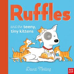 Ruffles and the Teeny Tiny Kittens цена и информация | Книги для самых маленьких | pigu.lt