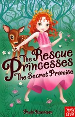 Rescue Princesses: The Secret Promise цена и информация | Книги для подростков и молодежи | pigu.lt