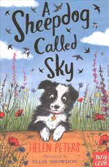 Sheepdog Called Sky kaina ir informacija | Knygos paaugliams ir jaunimui | pigu.lt