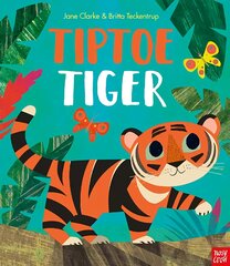 Tiptoe Tiger цена и информация | Книги для малышей | pigu.lt