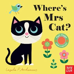 Where's Mrs Cat? цена и информация | Книги для малышей | pigu.lt