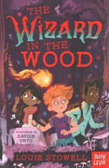 Wizard in the Wood kaina ir informacija | Knygos paaugliams ir jaunimui | pigu.lt
