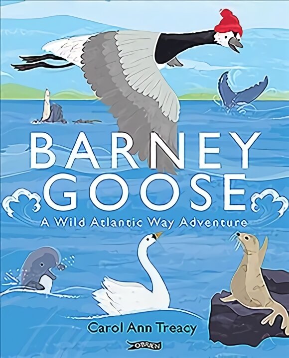 Barney Goose: A Wild Atlantic Way Adventure цена и информация | Knygos mažiesiems | pigu.lt