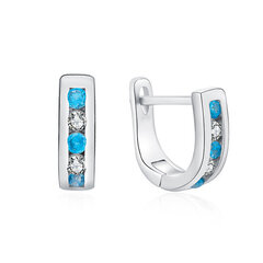 Элегантные серебряные серьги с прозрачными и голубыми цирконами Moiss E0000179 цена и информация | Серьги | pigu.lt