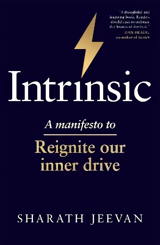Intrinsic: A manifesto to reignite our inner drive цена и информация | Saviugdos knygos | pigu.lt
