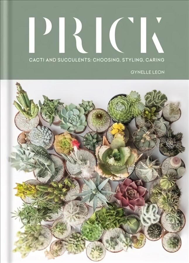 Prick: Cacti and Succulents: Choosing, Styling, Caring kaina ir informacija | Knygos apie sodininkystę | pigu.lt