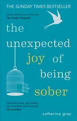 Unexpected Joy of Being Sober: THE Sunday Times Bestseller kaina ir informacija | Saviugdos knygos | pigu.lt