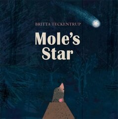 Mole's Star цена и информация | Книги для самых маленьких | pigu.lt