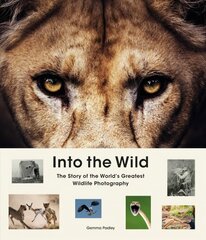 Into the Wild: The Story of the World's Greatest Wildlife Photography kaina ir informacija | Knygos apie meną | pigu.lt