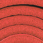 Mankštos kilimėlis Spokey Fluffy 180x60x1 cm, raudonas kaina ir informacija | Kilimėliai sportui | pigu.lt