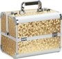 Kosmetikos priemonių lagaminas Professional Style, auksinė spalva kaina ir informacija | Kosmetinės, veidrodėliai | pigu.lt