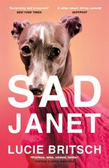 Sad Janet: 'A whip-smart, biting tragicomedy' HuffPost kaina ir informacija | Fantastinės, mistinės knygos | pigu.lt