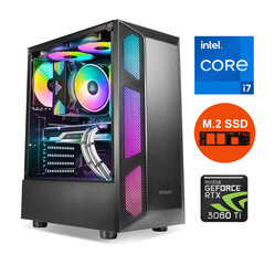 Gamer i7-10700 16GB 480GB SSD NVME 1TB HDD RTX 3060 Ti 8GB Windows 10 kaina ir informacija | Stacionarūs kompiuteriai | pigu.lt