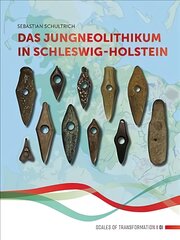 Das Jungneolithikum in Schleswig-Holstein цена и информация | Исторические книги | pigu.lt