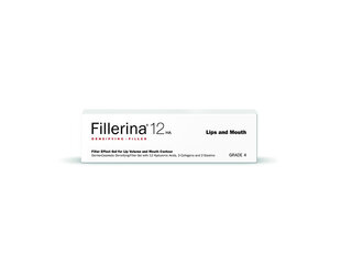 Lūpų užpildas Fillerina 12HA, 7 ml kaina ir informacija | Lūpų dažai, blizgiai, balzamai, vazelinai | pigu.lt