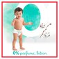 Sauskelnės-kelnaitės Pampers Harmonie Monthly pack, 4 dydis, 9-15 kg, 96 vnt. kaina ir informacija | Sauskelnės | pigu.lt