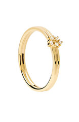 PDPAOLA Очаровательное позолоченное кольцо с цирконами NOVA Gold AN01-615 цена и информация | Кольца | pigu.lt