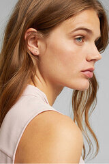 Sidabriniai paauksuoti auskarai moterims Esprit ESER01411200 kaina ir informacija | Auskarai | pigu.lt
