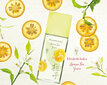 Tualetinis vanduo Elizabeth Arden Green Tea Yuzu EDT moterims 100 ml kaina ir informacija | Kvepalai moterims | pigu.lt