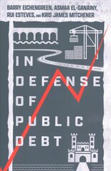 In Defense of Public Debt kaina ir informacija | Ekonomikos knygos | pigu.lt