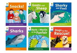 Oxford Reading Tree: Floppy's Phonics Decoding Practice: Oxford Level 3:   Mixed Pack of 6 1 цена и информация | Книги для подростков и молодежи | pigu.lt