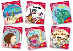 Oxford Reading Tree: Level 4: More Songbirds Phonics: Pack (6 books, 1 of each title), Level 4 Pack A, Pack of 6 kaina ir informacija | Knygos paaugliams ir jaunimui | pigu.lt