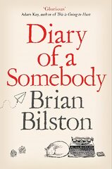 Diary of a Somebody цена и информация | Fantastinės, mistinės knygos | pigu.lt