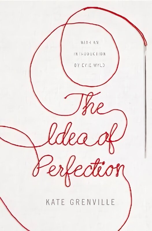 Idea of Perfection: Picador Classic Main Market Ed. kaina ir informacija | Fantastinės, mistinės knygos | pigu.lt