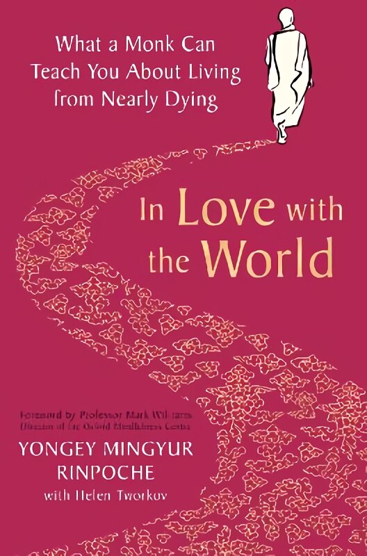 In Love with the World: What a Monk Can Teach You About Living from Nearly Dying kaina ir informacija | Saviugdos knygos | pigu.lt