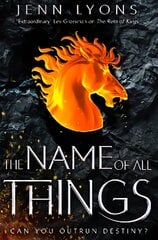 Name of All Things kaina ir informacija | Fantastinės, mistinės knygos | pigu.lt