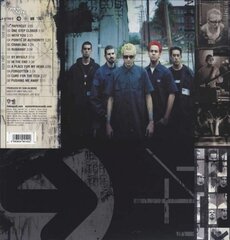 Виниловая пластинка Linkin Park «Hybrid Theory» цена и информация | Виниловые пластинки, CD, DVD | pigu.lt