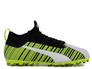 SPORTS PUMA ONE 5.3 MG JR 10565802 10565802 цена и информация | Детская спортивная обувь | pigu.lt