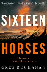 Sixteen Horses цена и информация | Fantastinės, mistinės knygos | pigu.lt