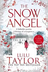 The Snow Angel kaina ir informacija | Fantastinės, mistinės knygos | pigu.lt