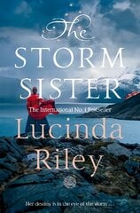 Storm Sister kaina ir informacija | Fantastinės, mistinės knygos | pigu.lt