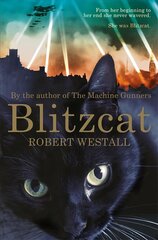 Blitzcat New Edition цена и информация | Книги для подростков  | pigu.lt