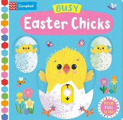 Busy Easter Chicks цена и информация | Книги для самых маленьких | pigu.lt