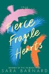 Fierce Fragile Hearts цена и информация | Книги для подростков и молодежи | pigu.lt