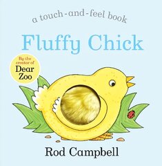 Fluffy Chick цена и информация | Книги для самых маленьких | pigu.lt