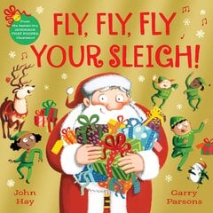 Fly, Fly, Fly Your Sleigh: A Christmas Caper! kaina ir informacija | Knygos mažiesiems | pigu.lt