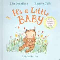 It's a Little Baby Illustrated edition цена и информация | Книги для самых маленьких | pigu.lt