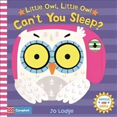 Little Owl, Little Owl Can't You Sleep? цена и информация | Книги для самых маленьких | pigu.lt