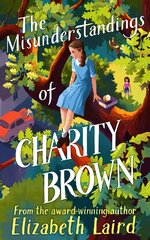 Misunderstandings of Charity Brown kaina ir informacija | Knygos paaugliams ir jaunimui | pigu.lt