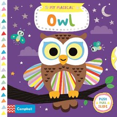 My Magical Owl цена и информация | Книги для самых маленьких | pigu.lt