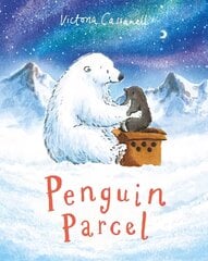 Penguin Parcel kaina ir informacija | Knygos mažiesiems | pigu.lt