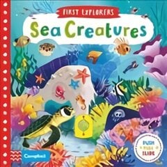 Sea Creatures Main Market Ed. kaina ir informacija | Knygos mažiesiems | pigu.lt