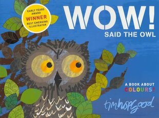 WOW! Said the Owl Illustrated edition цена и информация | Книги для самых маленьких | pigu.lt